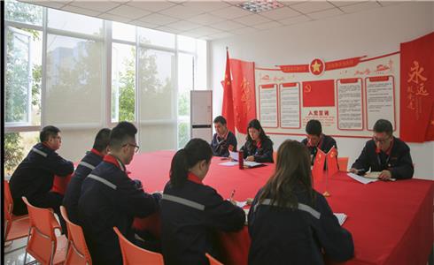 成都中建材各黨支部召開2018年度組織生活會(huì)開展民主評(píng)議黨員工作