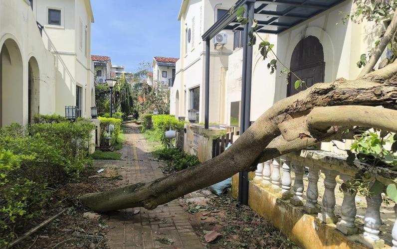 扛過“摩羯”！從成都中建材大尺寸碲化鎘發(fā)電玻璃項(xiàng)目淺談BIPV應(yīng)用優(yōu)勢